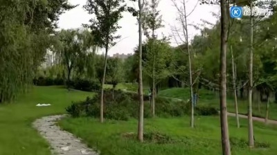 陈思杭 - 龙飘飘一首《明月千里寄相思》经典悦耳，送给远方思念的人！