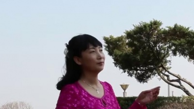李红 - 蝶恋花无悔