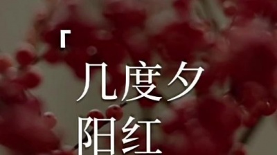 炎武逸仙-老歌挖掘机 - 《几度夕阳红》
原唱：陈彼得
翻唱：炎武逸仙