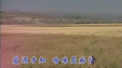 陈小云 - 爱卡惨死