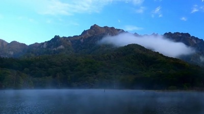 巫娜 - 远树含烟