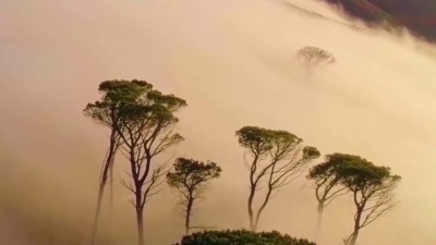 尹昔眠 - 奔赴星空