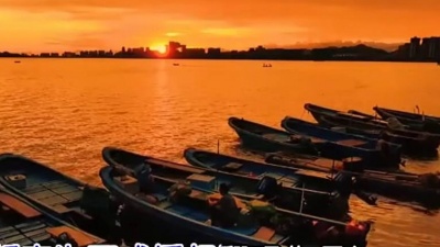 豆豆果 - 心兮、群星、华语群星《英雄泪(DJ版)》