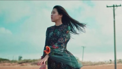 ERIKA - 天鹅说