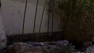 范茹4040 - 一首《李宗盛 - 我只想你懂》真好听