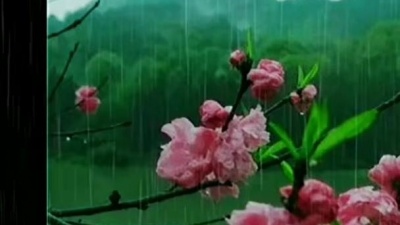 秦浩 - 回想曲