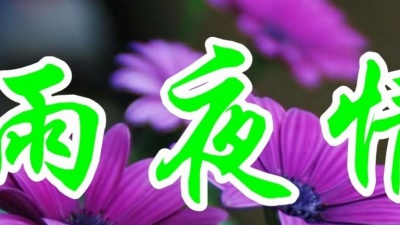 得瑟 - 高胜云一首经典情歌《雨夜情》好听极了