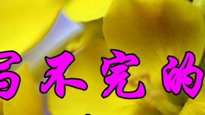 一凡 - 李玲玉一首《写不完的爱》好听至极