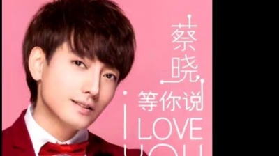 蔡晓 - 等你说 I Love You