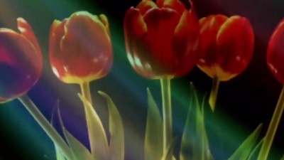 Brian Crain(布莱恩·克雷恩) - Spring Waltz