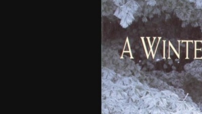 Jim Brickman - Joy to the World