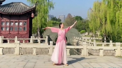 啊吗粽 - 《入画》