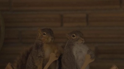 Ashley McBryde、Brandy Clark、Caylee Hammack、Pillbox Patti - When Will I Be Loved