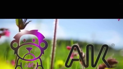 DJ Antoine - Festival Killer