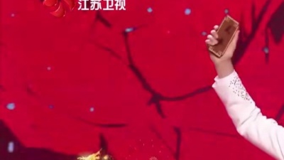 蔡国庆 - 龙拳