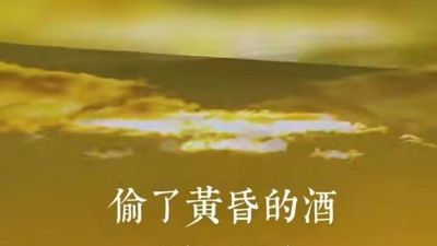 听月 - 我偷了黄昏的酒