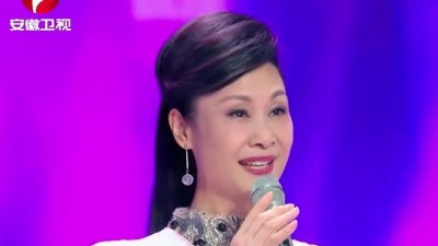 于文华、陈若玫 - 花好月圆