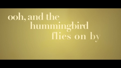Carly Pearce - hummingbird