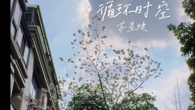 苏星婕 - 循环时空