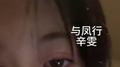 辛雯 - 与凤行