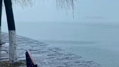 豆豆果 - 王佳音《我在等一场雨》饭制