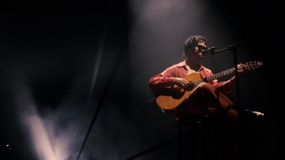 Djavan - Meu Bem Querer