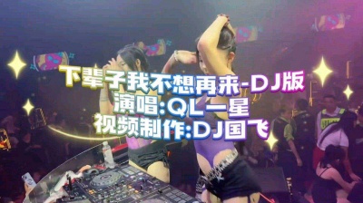 DJ国飞 - 下辈子我不想再来-DJ版