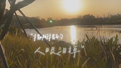 广州九零音乐 - 土坡上的狗尾巴草双语dj九零版
