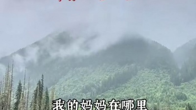 豆豆果 - 《苹果香》听月