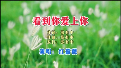 张有中 - 红蔷薇-看到你爱上你