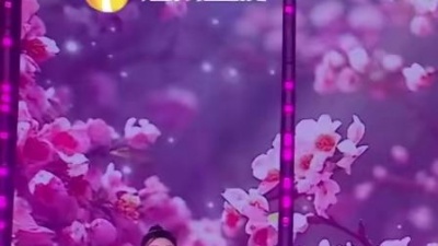 蒋大为、周震南 - 在那桃花盛开的地方+敢问路在何方