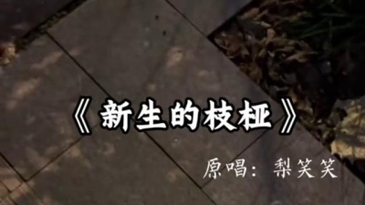 豆豆果 - 《新生的枝桠》梨笑笑