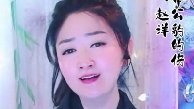 豆豆果 - 《哪吒的痛申公豹的伤》赵洋