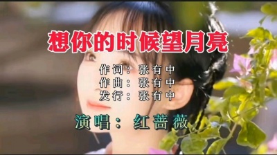 张有中 - 红蔷薇-想你的时候望月亮