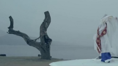 金丝草 - 서울 가 살자