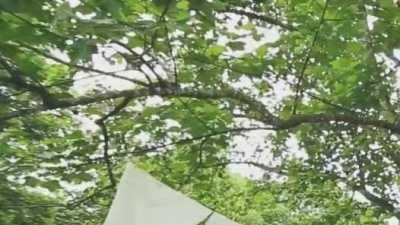 植田真梨恵 - わかんないのはいやだ