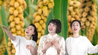 贰强 - 陕北说书