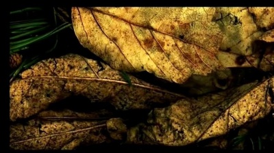 Zero 7 - Futures