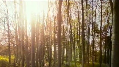 Rachael Yamagata - Over