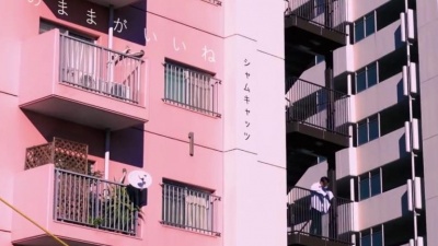 シャムキャッツ - このままがいいね (这样就好了)