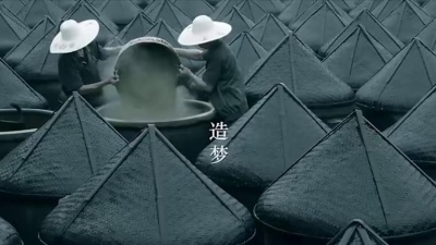 天府事变、王芳 - 乌镇遇见你
