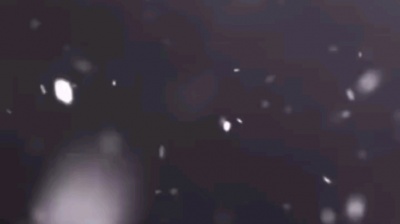 钱安月 - 小说