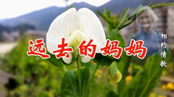 衡小只4035 一曲伤感歌曲 远去的妈妈 感动天下儿女 歌词句句催人泪下 在线观看 久久音乐网 Www Jiujiuyinyue Com 衡小只4035 一曲伤感歌曲 远去的妈妈 感动天下儿女 歌词句句催人泪下 在线观看 久久音乐网 Www Jiujiuyinyue Com