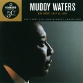 Muddy Waters - Train Fare Home