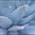 Mika Vainio - Kelvin