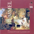 consortium classicum - Grande Serenade for Piano, Violin, Guitar, Clarinet and Bassoon in G Major , Op. 63