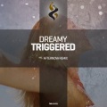 Afternova、Dreamy - Triggered (Afternova Remix)