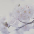 曹思义 - 23：30