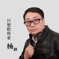 杨峰 - 只想把你爱