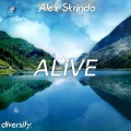 Alex Skrindo - Alive